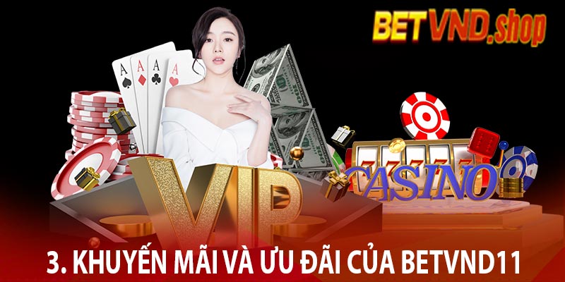 3. Khuyến mãi và ưu đãi của Betvnd11